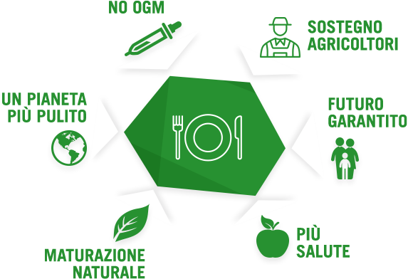 Infografica