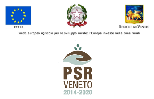 Banner fondo psr beneficiari